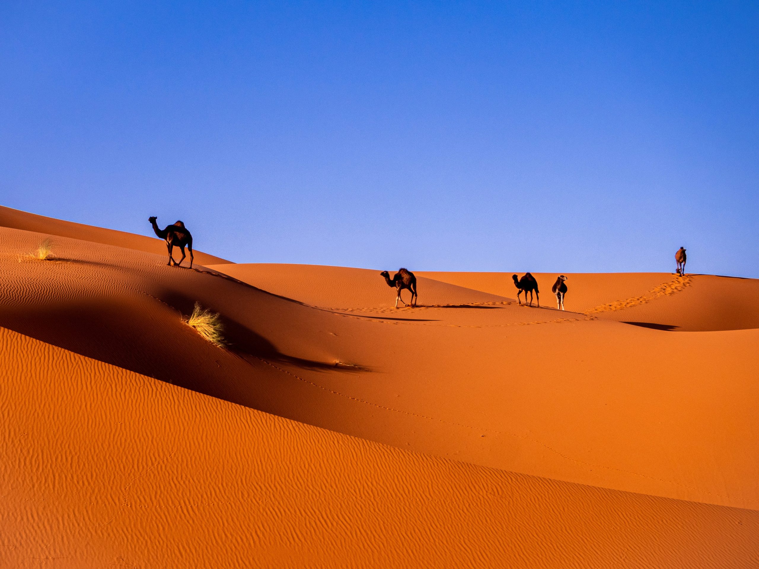 Maroc : Pays du soleil couchant